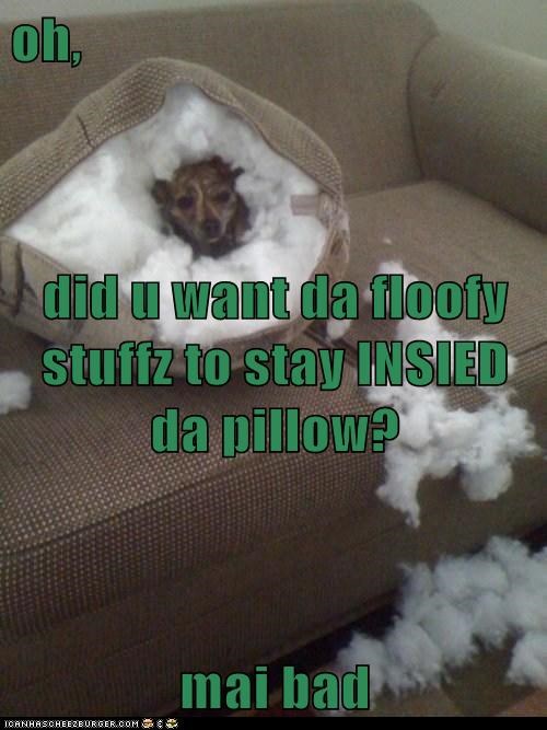 oh,  did u want da floofy stuffz to stay INSIED da pillow? mai bad