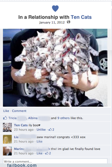 Failbook: A Cat Lady Makes it "Facebook Official"