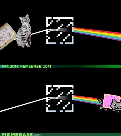 N.Y.A.N. - Pink Cat Called Floyd