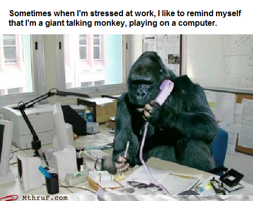 Monday Thru Friday: It's good to get back to the basics when you're stressed out