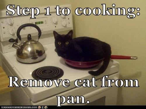 Step 2: Chase Cat to Get Food Back