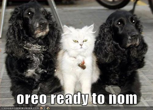 oreo ready to nom