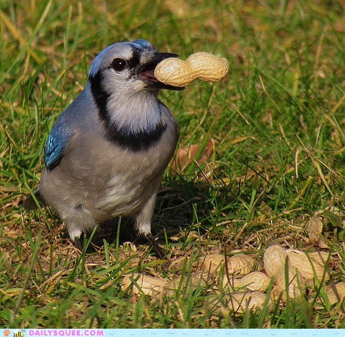 Sharing is Caring