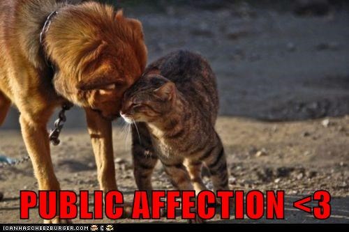 PUBLIC AFFECTION <3