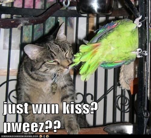 just wun kiss? pweez??