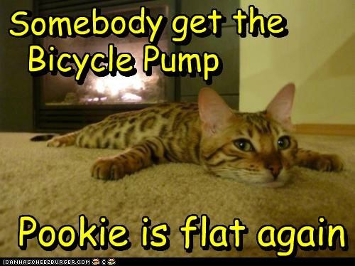 Somebody get the Bicycle Pump....
