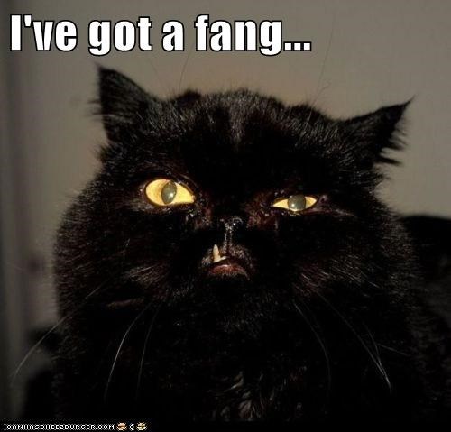I've got a fang...