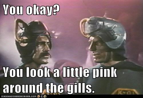You okay?  You look a little pink around the gills.