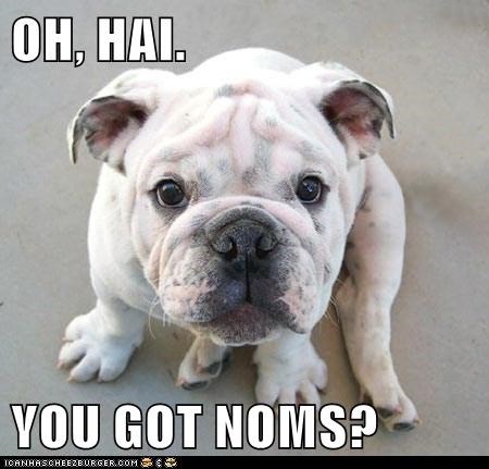OH, HAI.  YOU GOT NOMS?