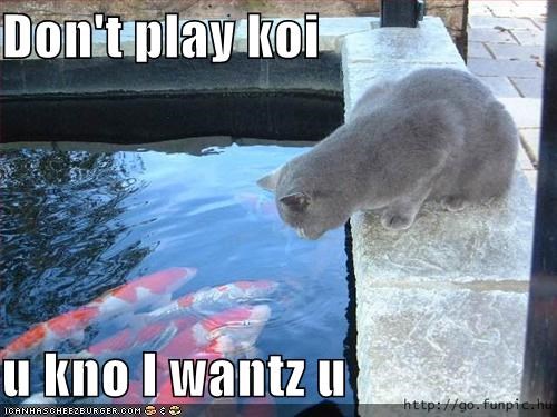 Don't play koi  u kno I wantz u