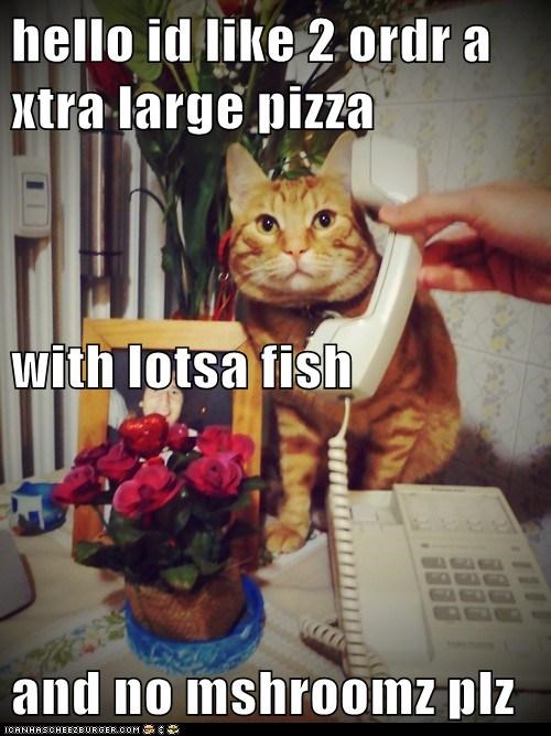 hello id like 2 ordr a xtra large pizza with lotsa fish and no mshroomz plz