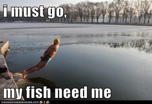 i must go,   my fish need me