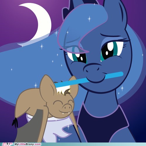 Brushie Brushie Luna