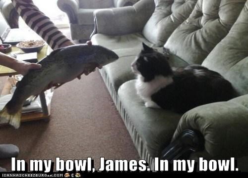 In my bowl, James.