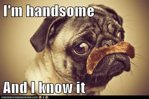 I'm handsome  And I know it