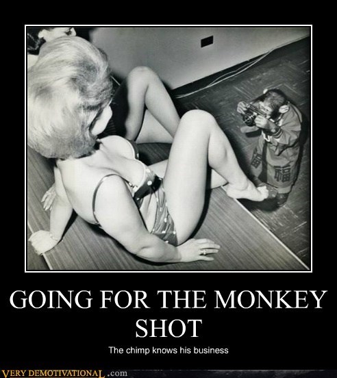 GOING FOR THE MONKEY SHOT
