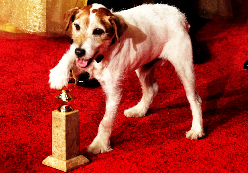 Golden Globes: Uggie Wins