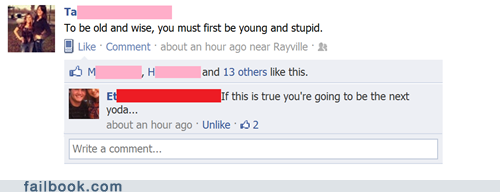 Failbook: Wise Idiot
