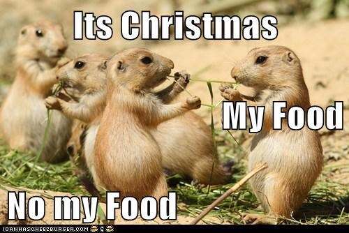 Its Christmas My Food No my Food