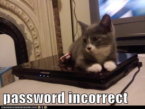 password incorrect
