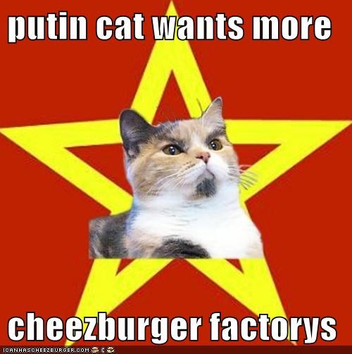 putin cat wants more  cheezburger factorys