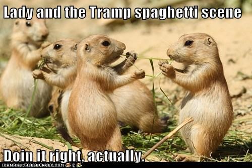 Lady and the Tramp spaghetti scene