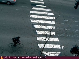 Crosswalk for Giants