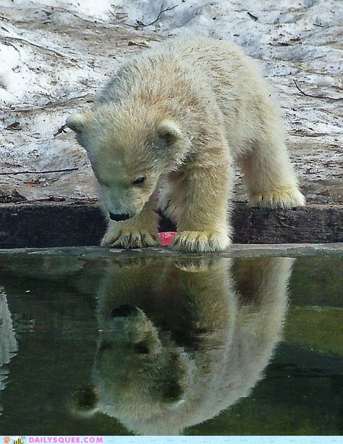 Ooooh, I Look Lovely!