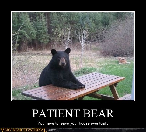 PATIENT BEAR