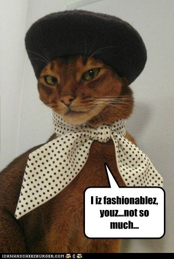 Fashion Kitteh