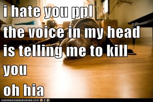i hate you ppl the voice in my head is telling me to kill you oh hia