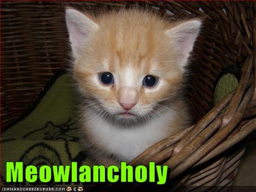Meowlancholy