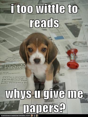 i too wittle to reads