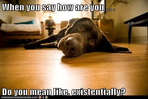 When you say 