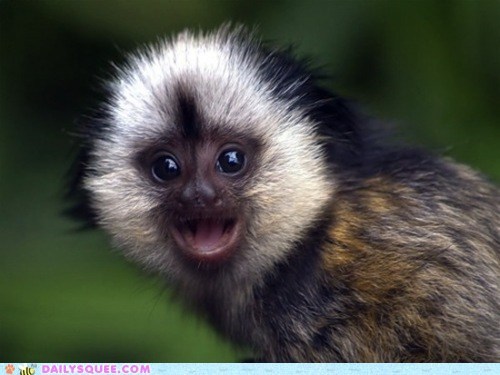 If You're Happy and You Know It, Smile Big