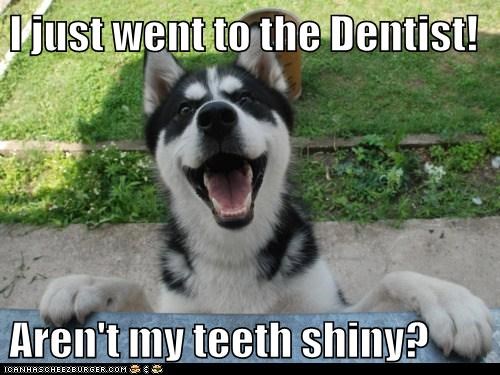 I just went to the Dentist!  Aren't my teeth shiny?
