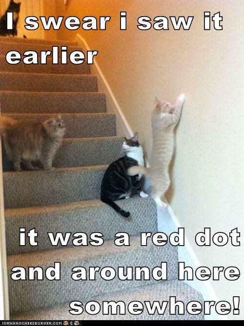 I swear i saw it earlier