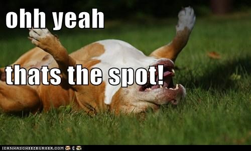 ohh yeah thats the spot!