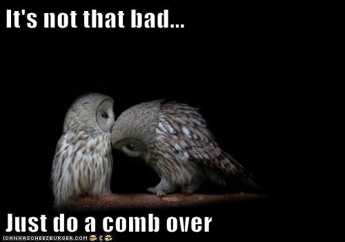 It's not that bad...