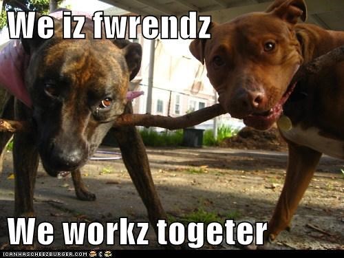We iz fwrendz  We workz togeter