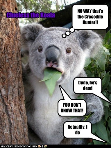 Clueless the Koala #1