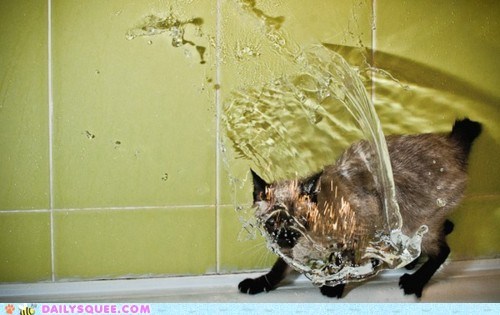 Acting Like Animals: You'll Never Take Me Alive, Shower!