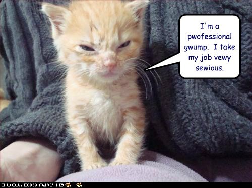 I'm a pwofessional gwump.