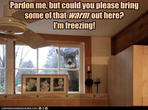 Pardon me, but could you please bring some of that                 out here?  I'm freezing!