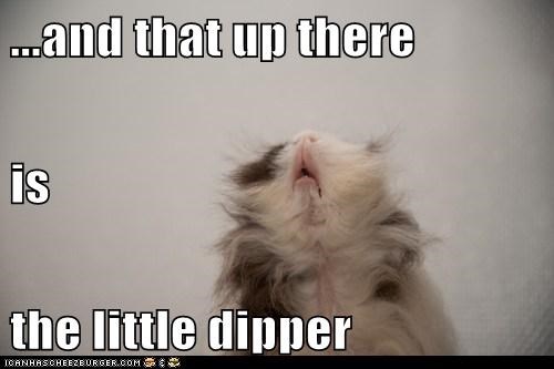 ...and that up there  is the little dipper