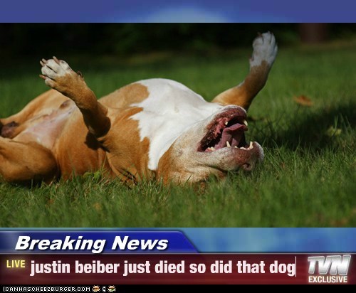 Breaking News - justin beiber just died so did that dog