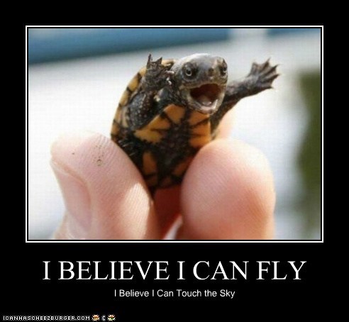 I BELIEVE I CAN FLY