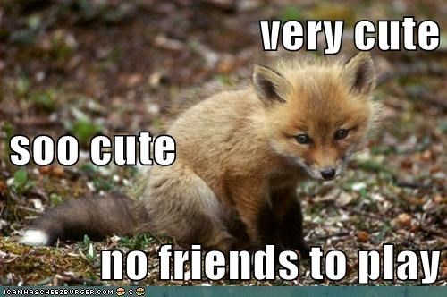 very cute soo cute no friends to play