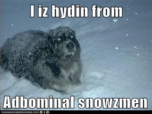 I iz hydin