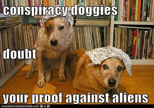 conspiracy doggies